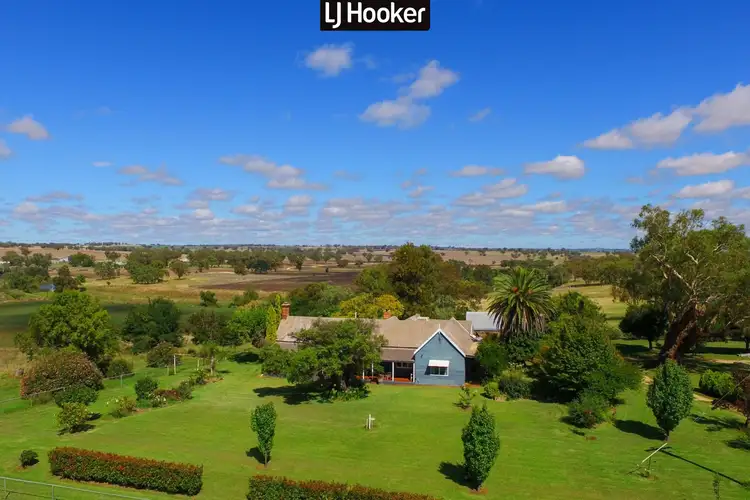 Main view of Homely rural property listing, 3103 Ashford Road, Inverell NSW 2360