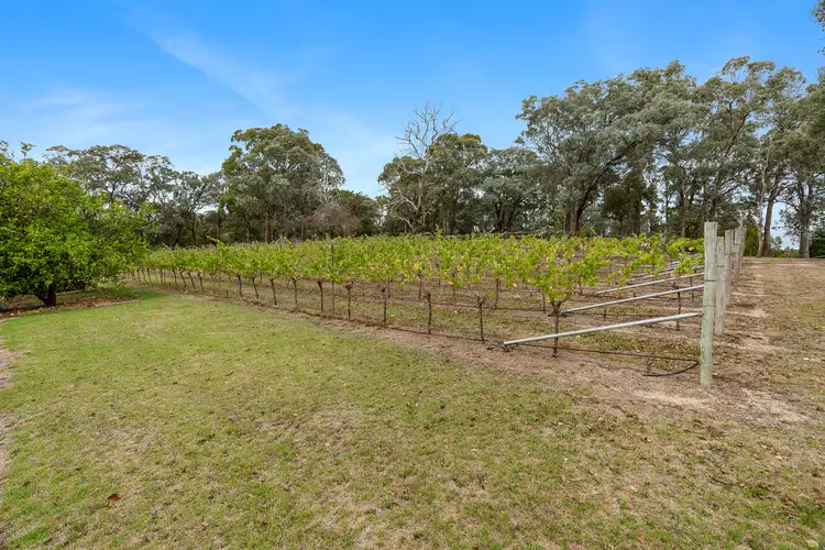 Fifth view of Homely rural property listing, 65 Oakland Drive, Warrandyte VIC 3113