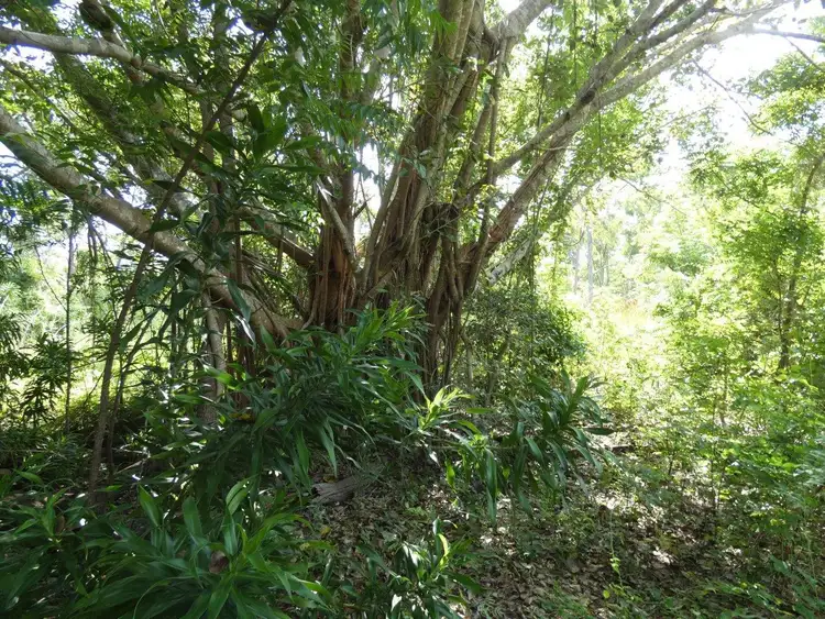 Sixth view of Homely land listing, 41 Sachse Street, Wagait Beach NT 822