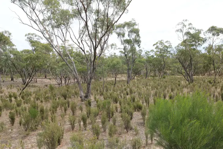 Main view of Homely rural property listing, Wedderburn-Dunolly Road, Wedderburn VIC 3518