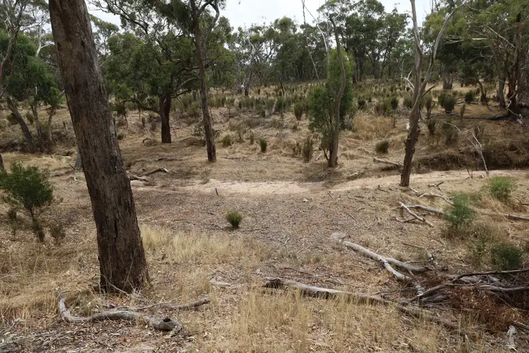 Second view of Homely rural property listing, Wedderburn-Dunolly Road, Wedderburn VIC 3518