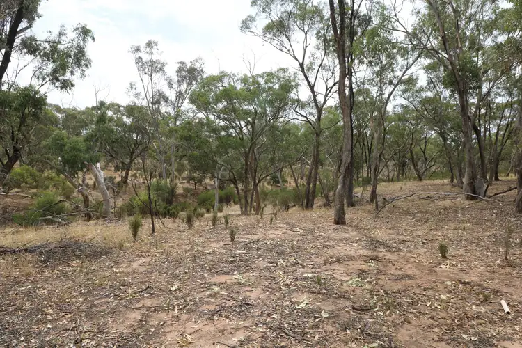 Third view of Homely rural property listing, Wedderburn-Dunolly Road, Wedderburn VIC 3518