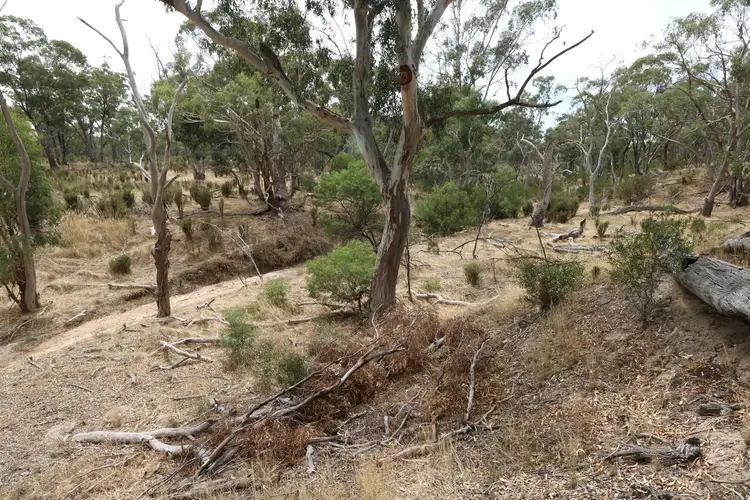 Sixth view of Homely rural property listing, Wedderburn-Dunolly Road, Wedderburn VIC 3518