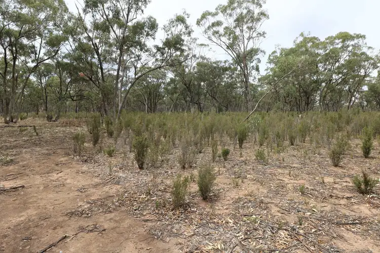 Seventh view of Homely rural property listing, Wedderburn-Dunolly Road, Wedderburn VIC 3518