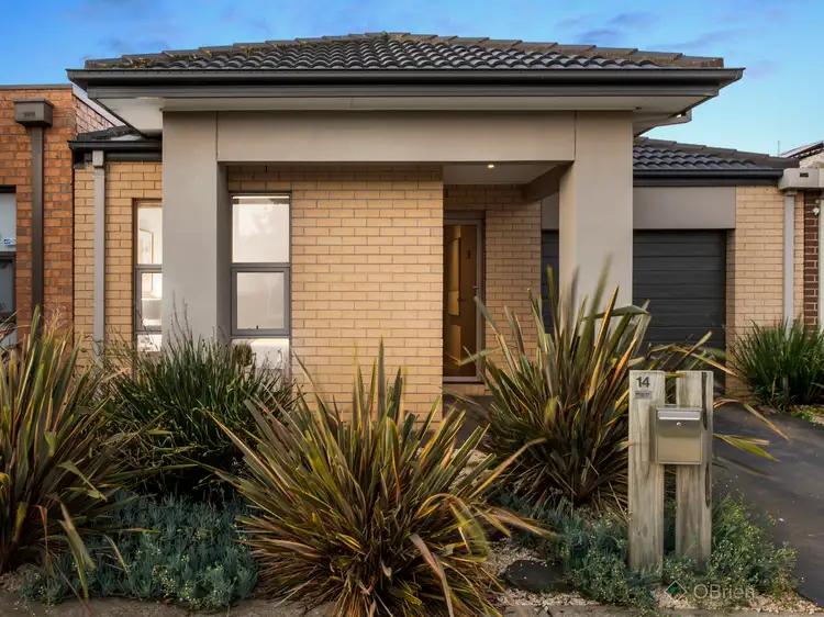 Main view of Homely house listing, 14 Wilkiea Crescent, Cranbourne North VIC 3977