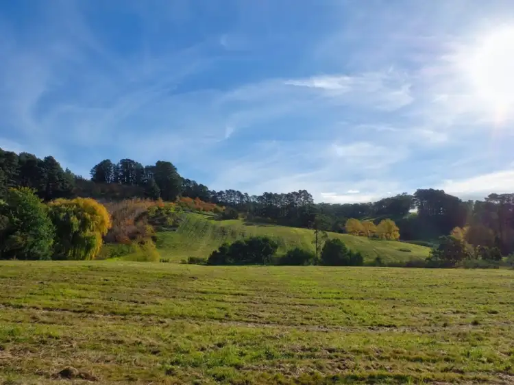 Fifth view of Homely land listing, Pieces 9 & 10 Swamp Road, Lenswood SA 5240