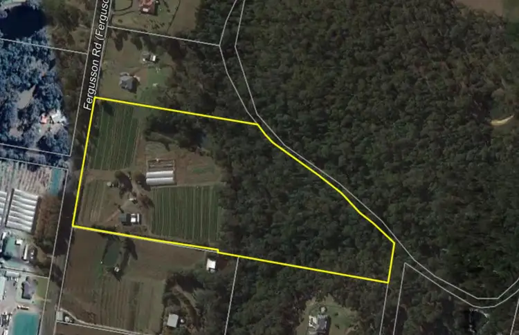 Main view of Homely rural property listing, 115 Fergusson Road, Lakesland NSW 2572