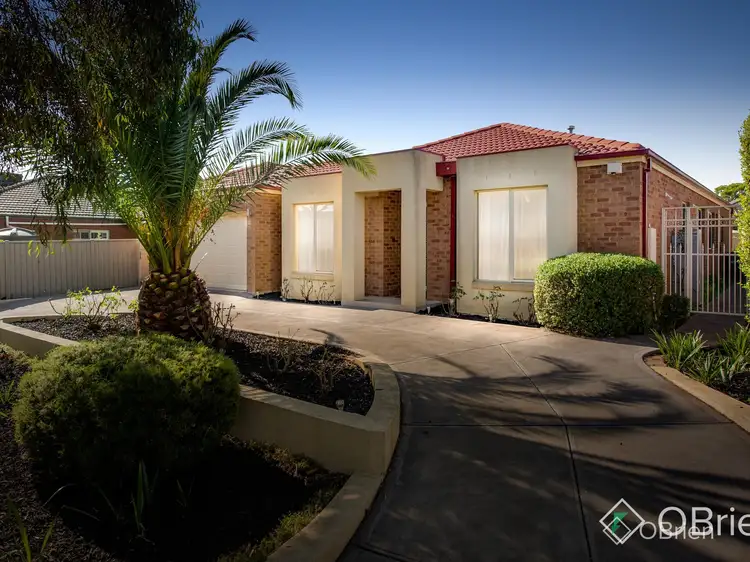 Main view of Homely house listing, 3 Gunuwarra Road, Cairnlea VIC 3023