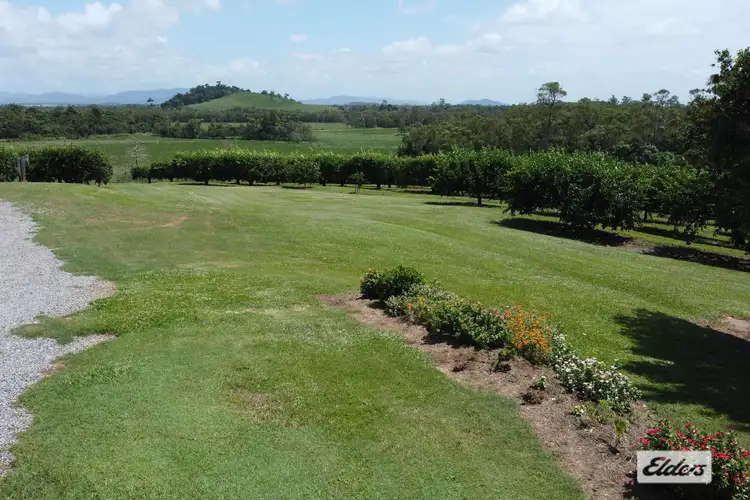 Fifth view of Homely house listing, 421 Bingil Bay Road, Bingil Bay QLD 4852