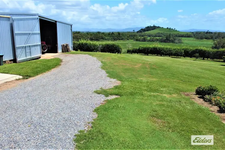 Sixth view of Homely house listing, 421 Bingil Bay Road, Bingil Bay QLD 4852