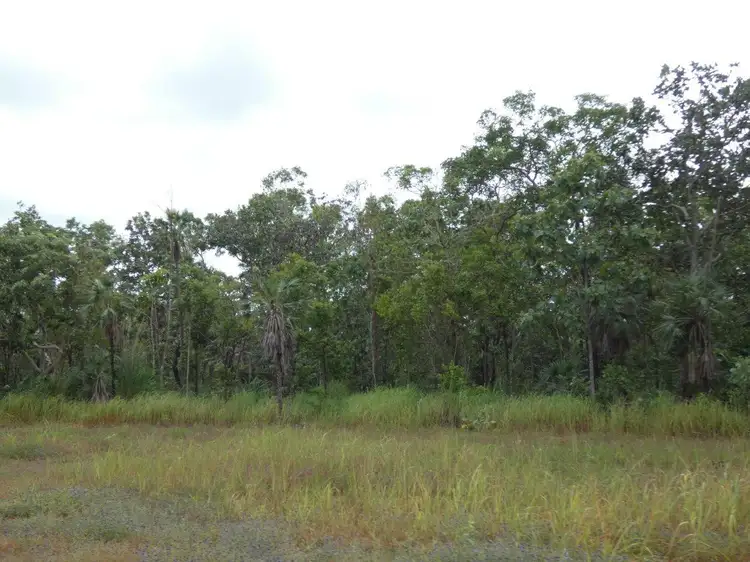 Main view of Homely land listing, LOT 3685, 4280 Fog Bay Road, Dundee Forest NT 840