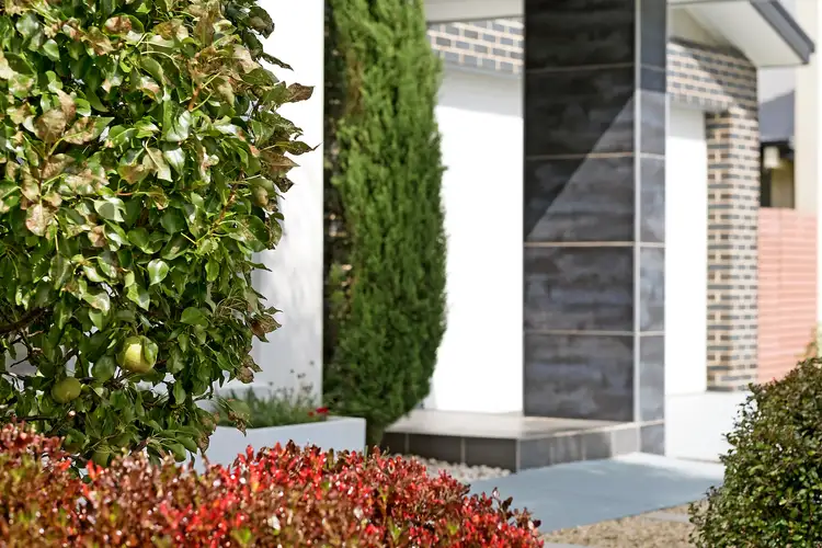 Second view of Homely house listing, 34 Helen Leonard Crescent, Forde ACT 2914