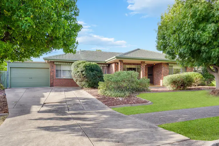 Main view of Homely house listing, 14 Harkness Avenue, Modbury SA 5092