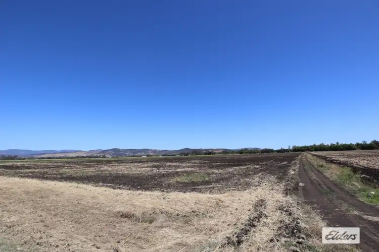 Second view of Homely rural property listing, 94 Grey Street, Laidley South QLD 4341