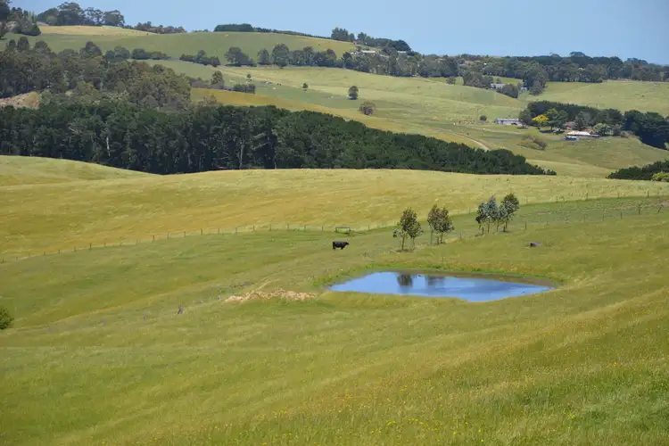 Fourth view of Homely rural property listing, 67 Sanders Road, Korumburra VIC 3950