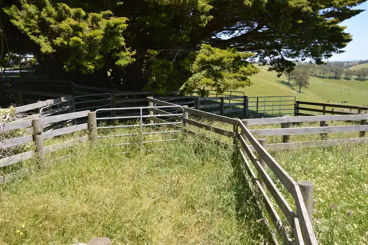 Sixth view of Homely rural property listing, 67 Sanders Road, Korumburra VIC 3950