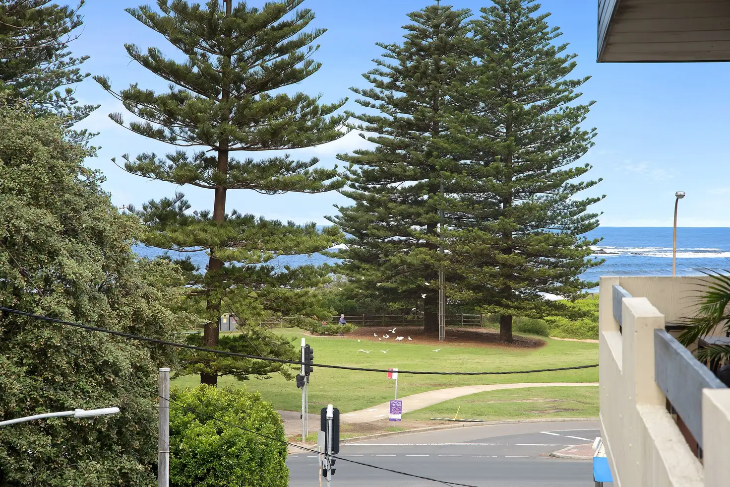 Main view of Homely apartment listing, 11/57 Foamcrest Avenue, Newport NSW 2106