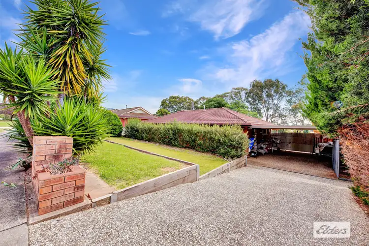 Main view of Homely house listing, 19 Billy Hughes Court, West Wodonga VIC 3690