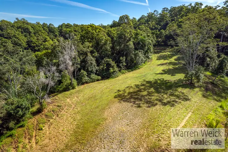 Fifth view of Homely land listing, 408 Bowraville Road, Bellingen NSW 2454