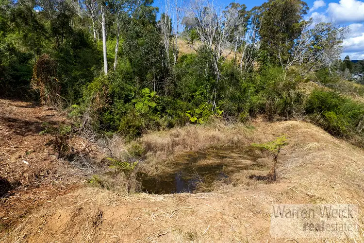 Sixth view of Homely land listing, 408 Bowraville Road, Bellingen NSW 2454