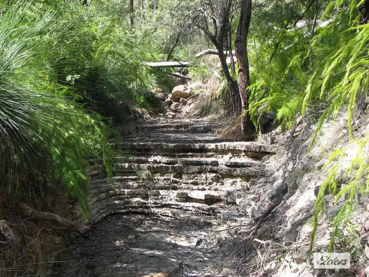 Seventh view of Homely rural property listing, 202 White Mountain Road, White Mountain QLD 4352