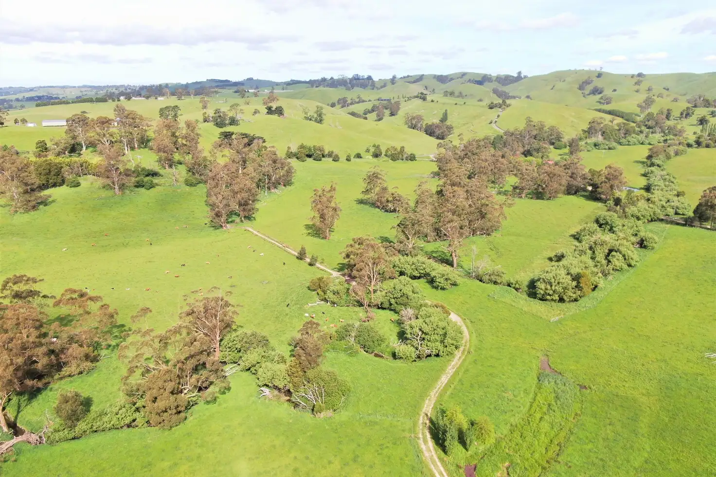Main view of Homely rural property listing, 00 Cnr Main South Road & Olsen Road, Poowong East VIC 3988