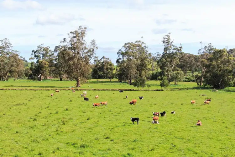 Fourth view of Homely rural property listing, 00 Cnr Main South Road & Olsen Road, Poowong East VIC 3988