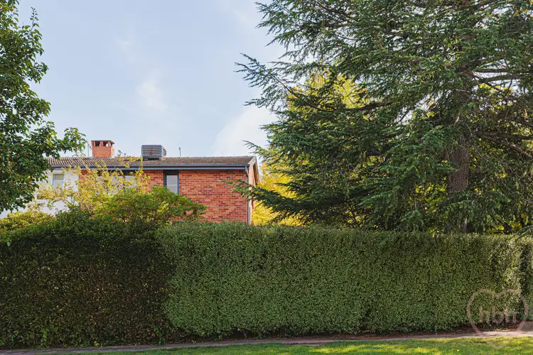 Third view of Homely semi-detached listing, 70 Hampton Circuit, Yarralumla ACT 2600