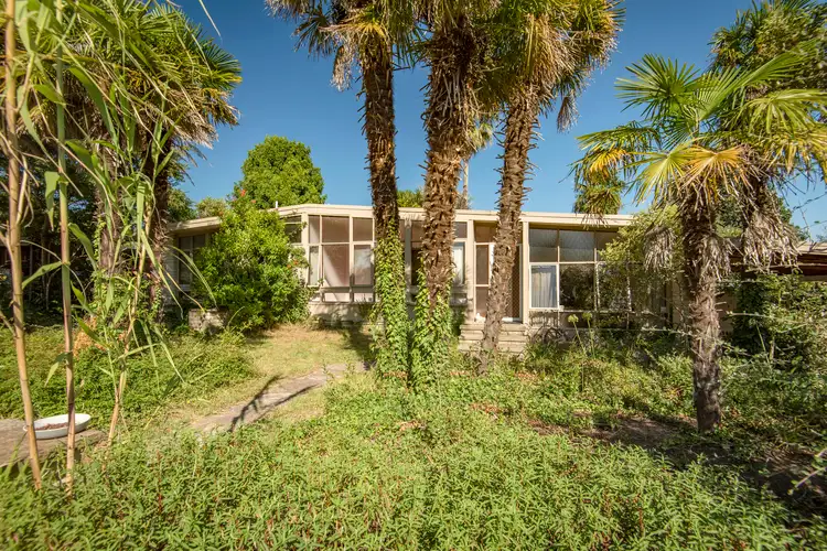 141 Starke Street, Holt ACT 2615