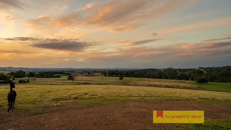Second view of Homely rural property listing, 82 Norris Lane, Mudgee NSW 2850