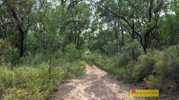 Second view of Homely rural property listing, 335 Phelps Lane, Turill NSW 2850