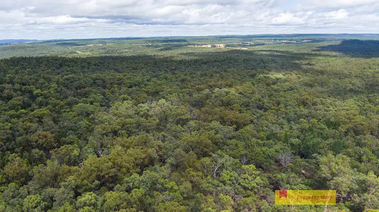 Third view of Homely rural property listing, 335 Phelps Lane, Turill NSW 2850
