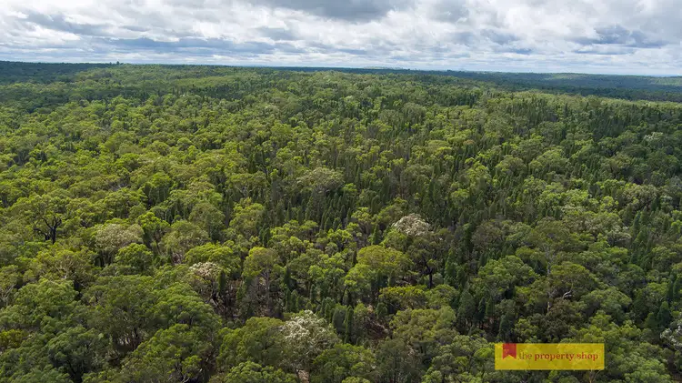 Fourth view of Homely rural property listing, 335 Phelps Lane, Turill NSW 2850