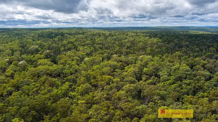 Fifth view of Homely rural property listing, 335 Phelps Lane, Turill NSW 2850
