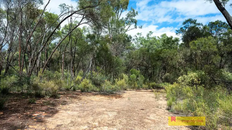 Sixth view of Homely rural property listing, 335 Phelps Lane, Turill NSW 2850