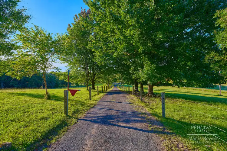Third view of Homely rural property listing, 51 North Branch Road, Upsalls Creek NSW 2439