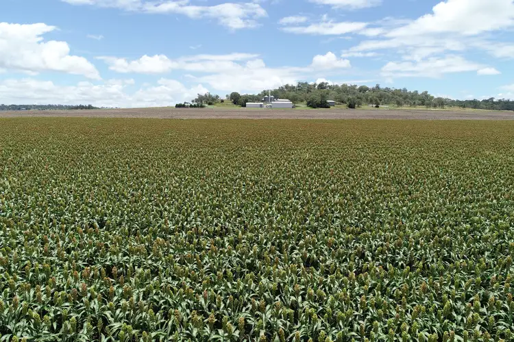 Second view of Homely rural property listing, 310 Cambooya-Felton Road, Cambooya QLD 4358