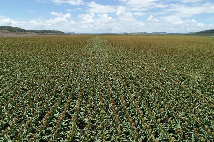 Third view of Homely rural property listing, 310 Cambooya-Felton Road, Cambooya QLD 4358