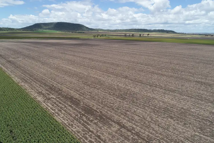 Fourth view of Homely rural property listing, 310 Cambooya-Felton Road, Cambooya QLD 4358