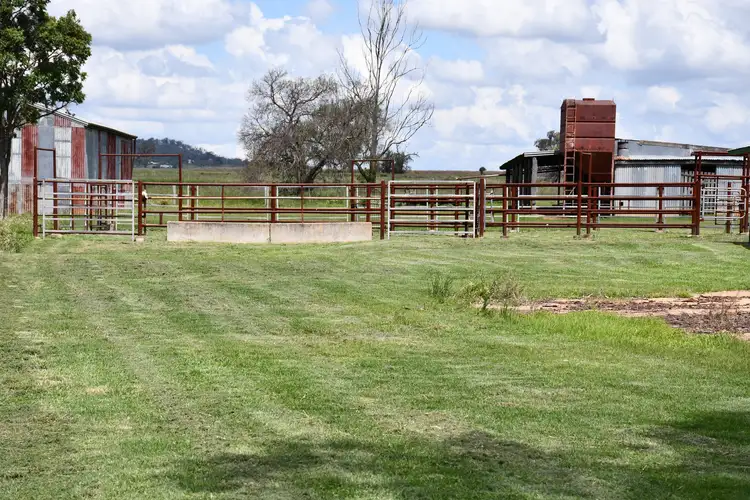 Fourth view of Homely rural property listing, 581 Toowoomba-Karara Road, Wyreema QLD 4352