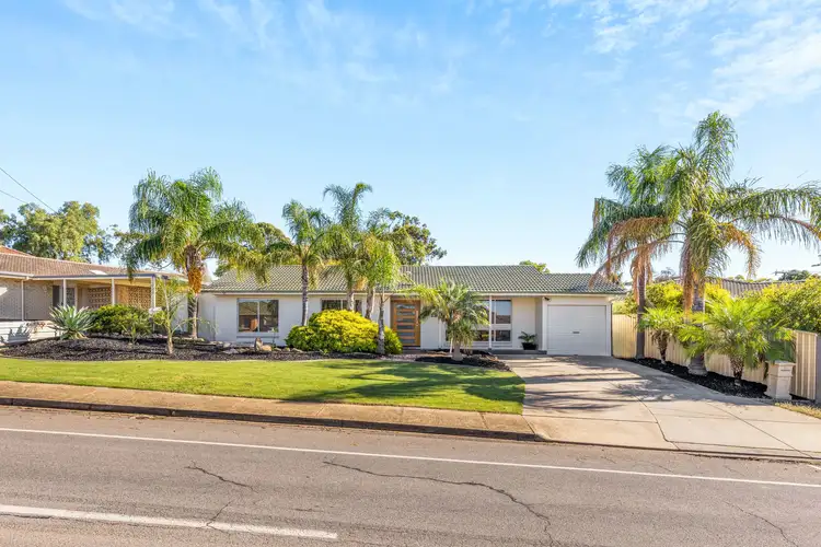 Main view of Homely house listing, 19 David Terrace, Morphett Vale SA 5162