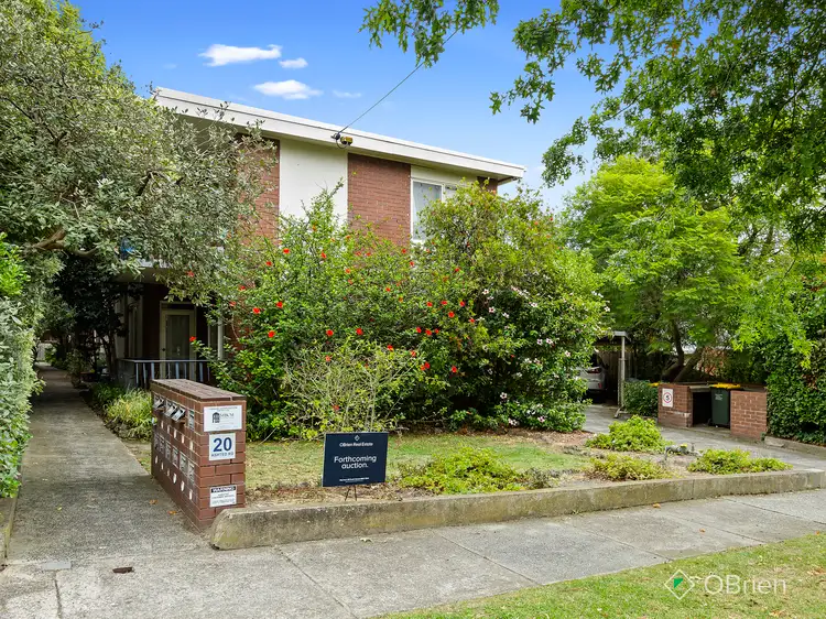 3/20 Ashted Road, Box Hill VIC 3128