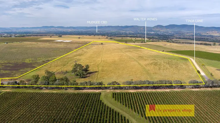 Main view of Homely rural property listing, 216 Tinja Lane, Mudgee NSW 2850