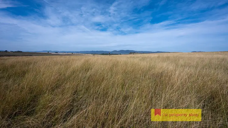 Third view of Homely rural property listing, 216 Tinja Lane, Mudgee NSW 2850
