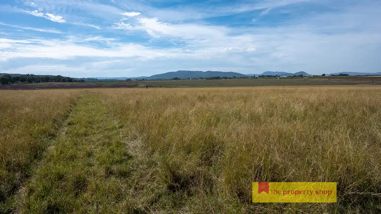Fourth view of Homely rural property listing, 216 Tinja Lane, Mudgee NSW 2850