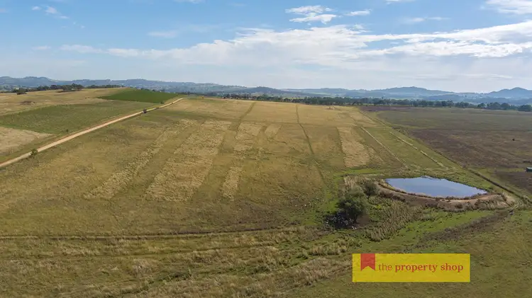 Fifth view of Homely rural property listing, 216 Tinja Lane, Mudgee NSW 2850