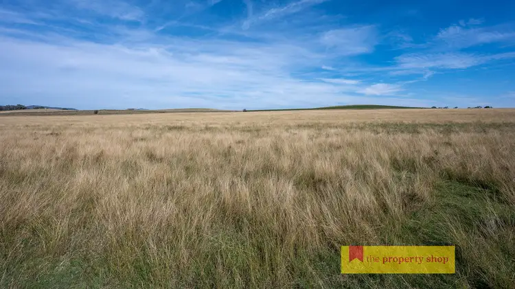 Sixth view of Homely rural property listing, 216 Tinja Lane, Mudgee NSW 2850