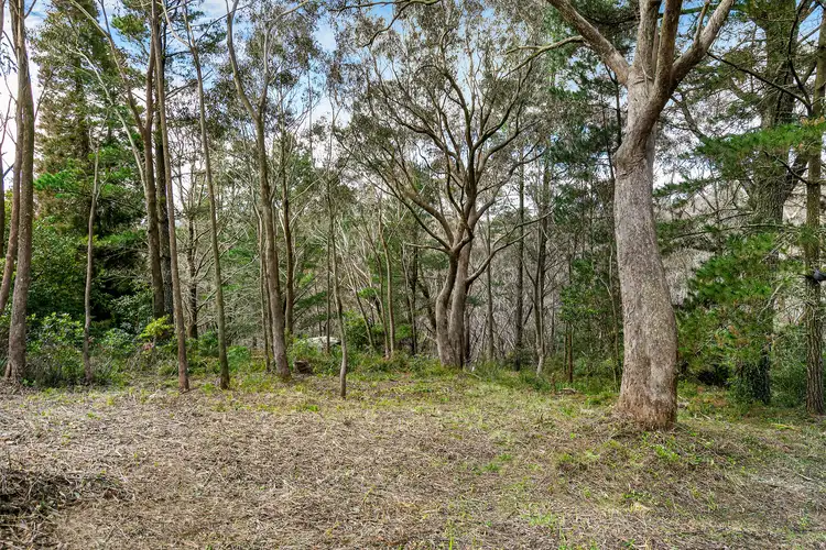 31 Winston Street, Leura NSW 2780