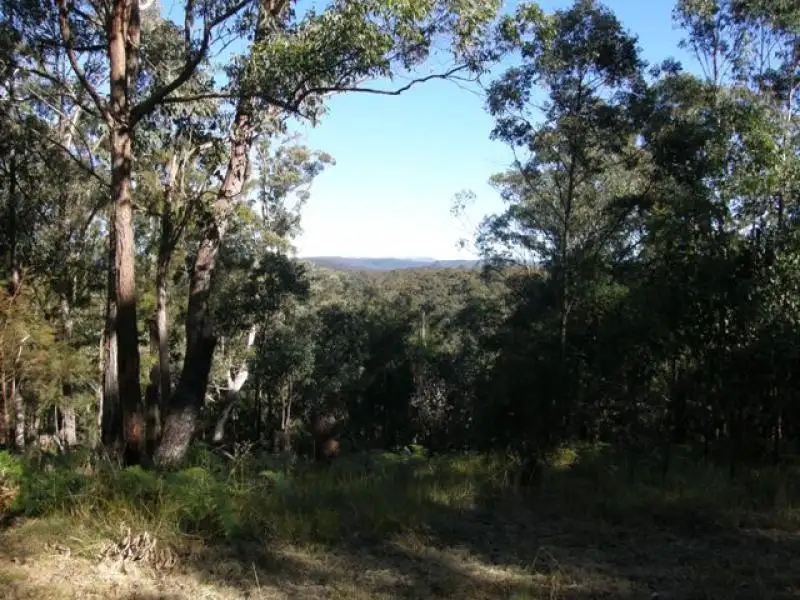 Main view of Homely rural property listing, 2533 Blacksmith Shop Road, Newton Boyd NSW 2370