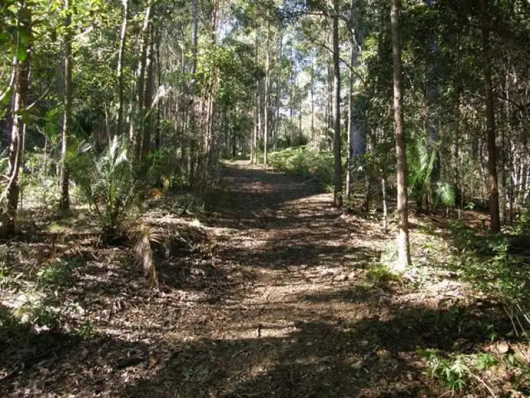 Third view of Homely rural property listing, 2533 Blacksmith Shop Road, Newton Boyd NSW 2370